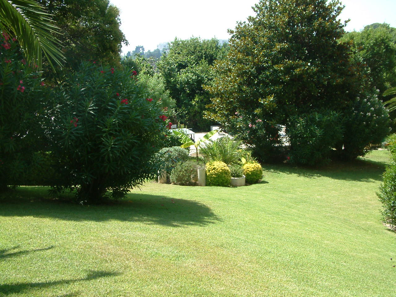 Parc de la résidence